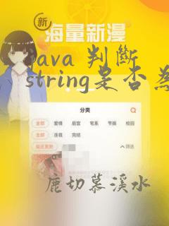 java 判断string是否为空