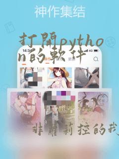 打开python的软件