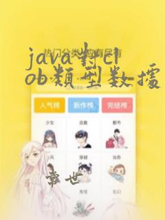 java对clob类型数据怎么处理