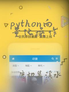 python向量化操作