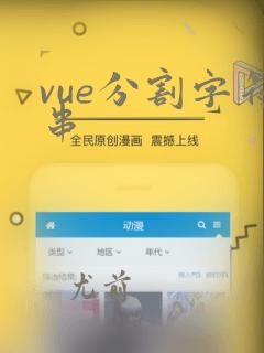 vue分割字符串