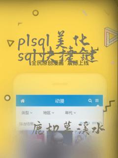 plsql美化sql快捷键