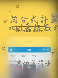 用公式计算的excel表格数据百分比