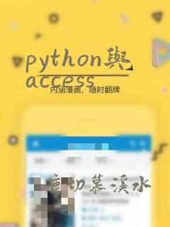 python与access