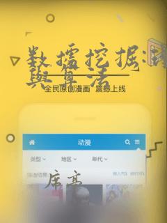 数据挖掘:理论与算法