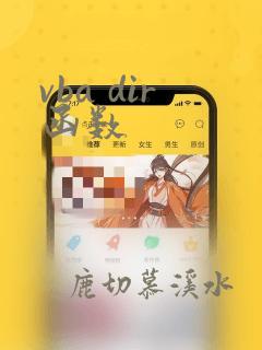 vba dir函数