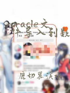 oracle文件导入到数据库