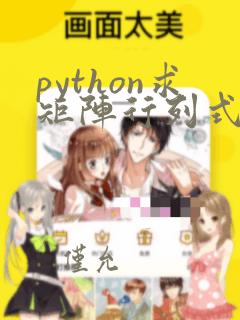 python求矩阵行列式