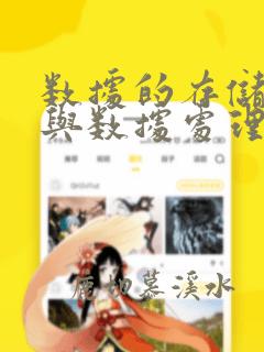 数据的存储结构与数据处理的效率