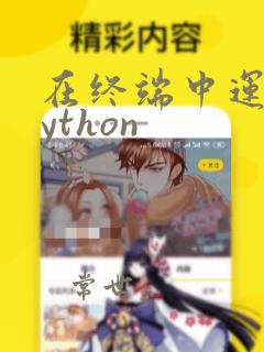 在终端中运行python