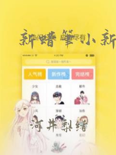 新蜡笔小新