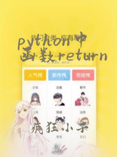 python中函数return