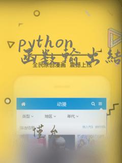 python 函数输出结果