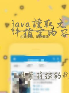 java读取文件指定内容