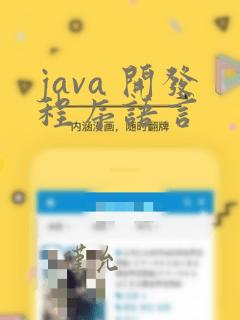 java 开发程序语言