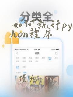 如何执行python程序