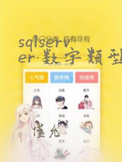 sqlserver 数字类型