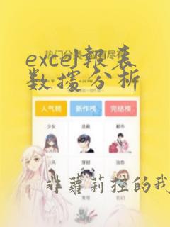 excel报表数据分析