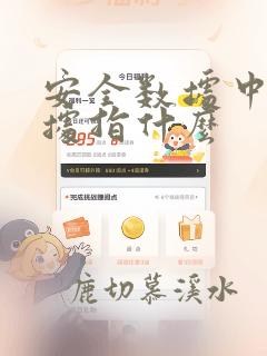 安全数据中的数据指什么