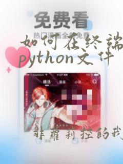 如何在终端运行python文件
