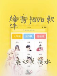 编写java软件