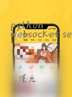 python websocket server