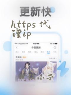 https 代理ip