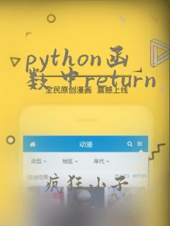 python函数中return