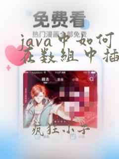 java中如何在数组中插一个数