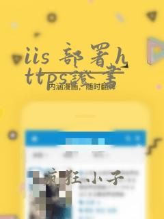 iis 部署https证书