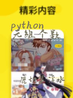 python 元组个数