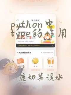 python中type的作用