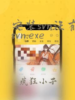 安装svn没有svn.exe