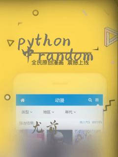 python 中random