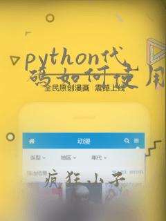 python代码如何使用