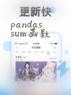 pandas sum函数