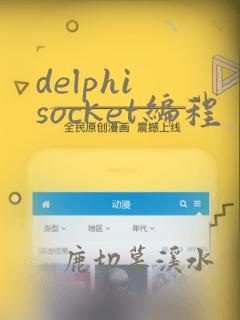 delphi socket编程