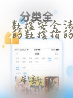 数据安全法》中的数据指的是: