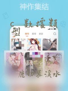 c   数据类型