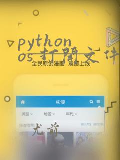 python os 打开文件