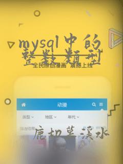 mysql中的整数类型