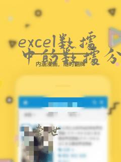excel数据中的数据分析在哪里
