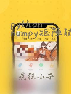 python numpy矩阵赋值