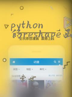 python 的reshape函数