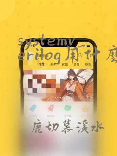 systemverilog用什么软件