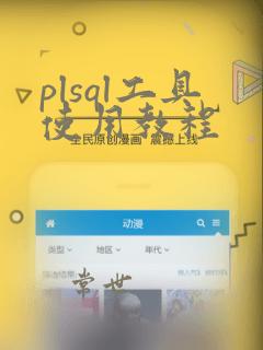 plsql工具使用教程