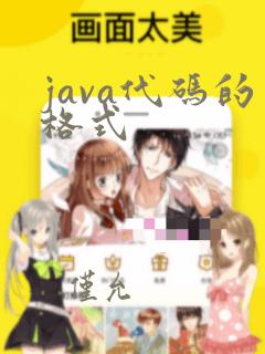 java代码的格式