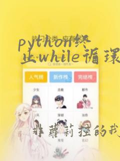 python终止while循环