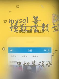 mysql 各种数据类型