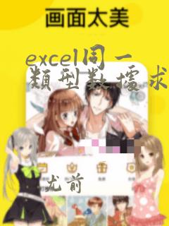 excel同一类型数据求和